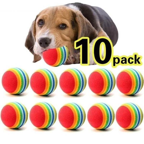 10pcs Pet Toy for Your Dogs