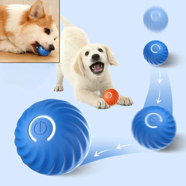 Dog Toy Ball Automatic Bouncing Rolling Ball